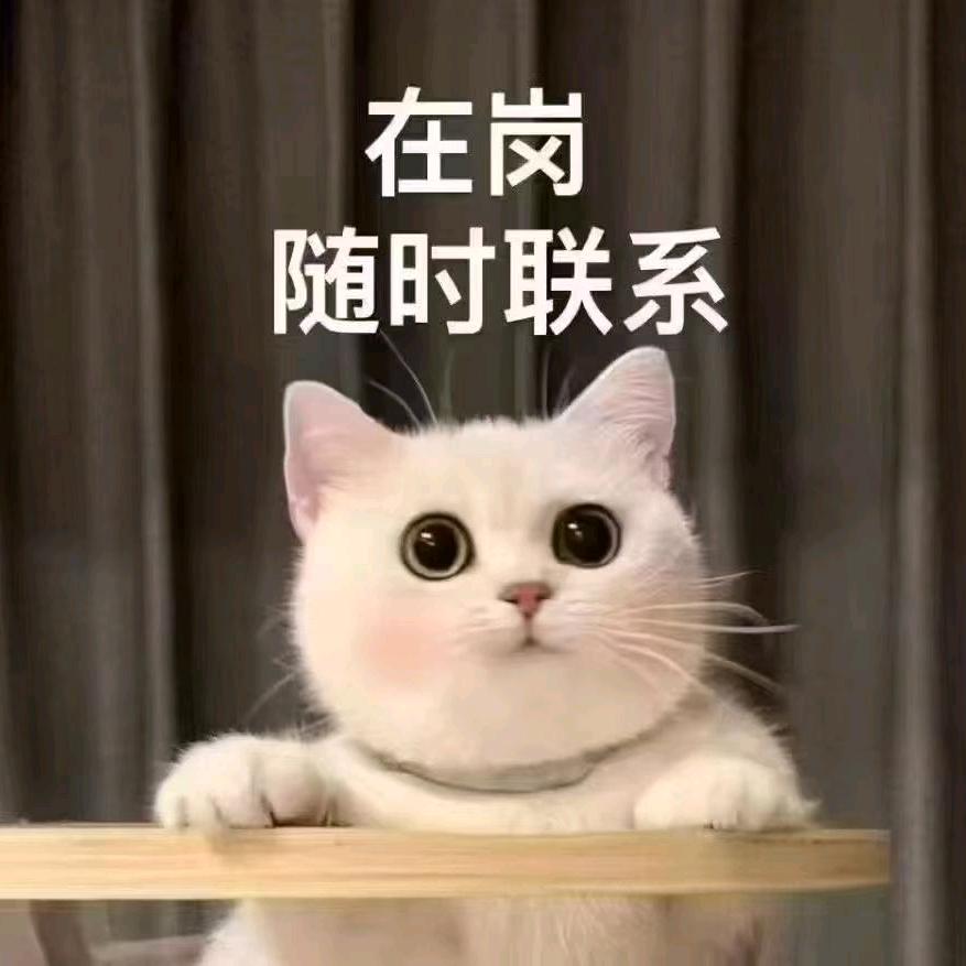 匠人教育职称评审