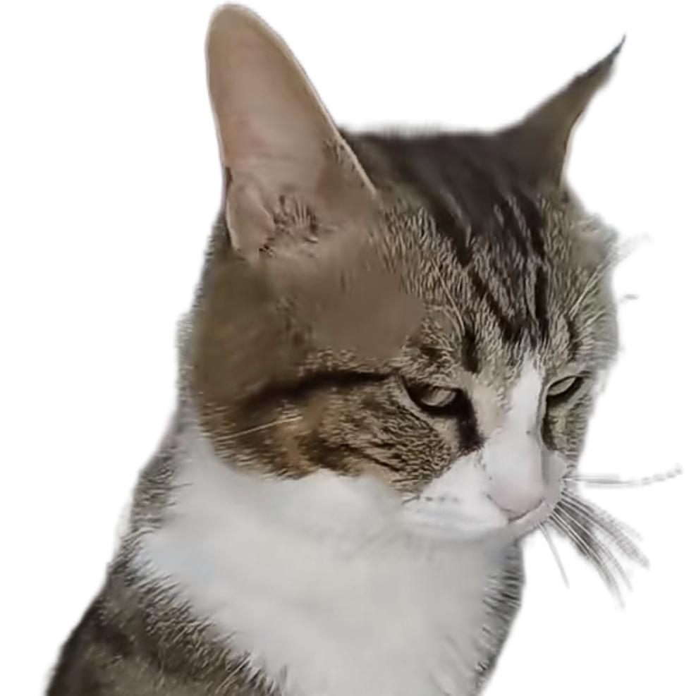 大猴