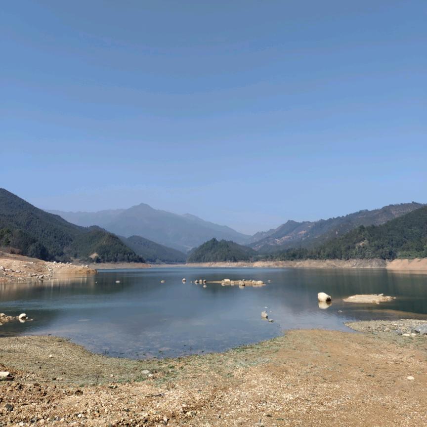 雅雅