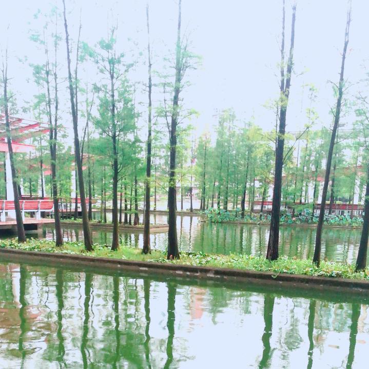 越来越好✌