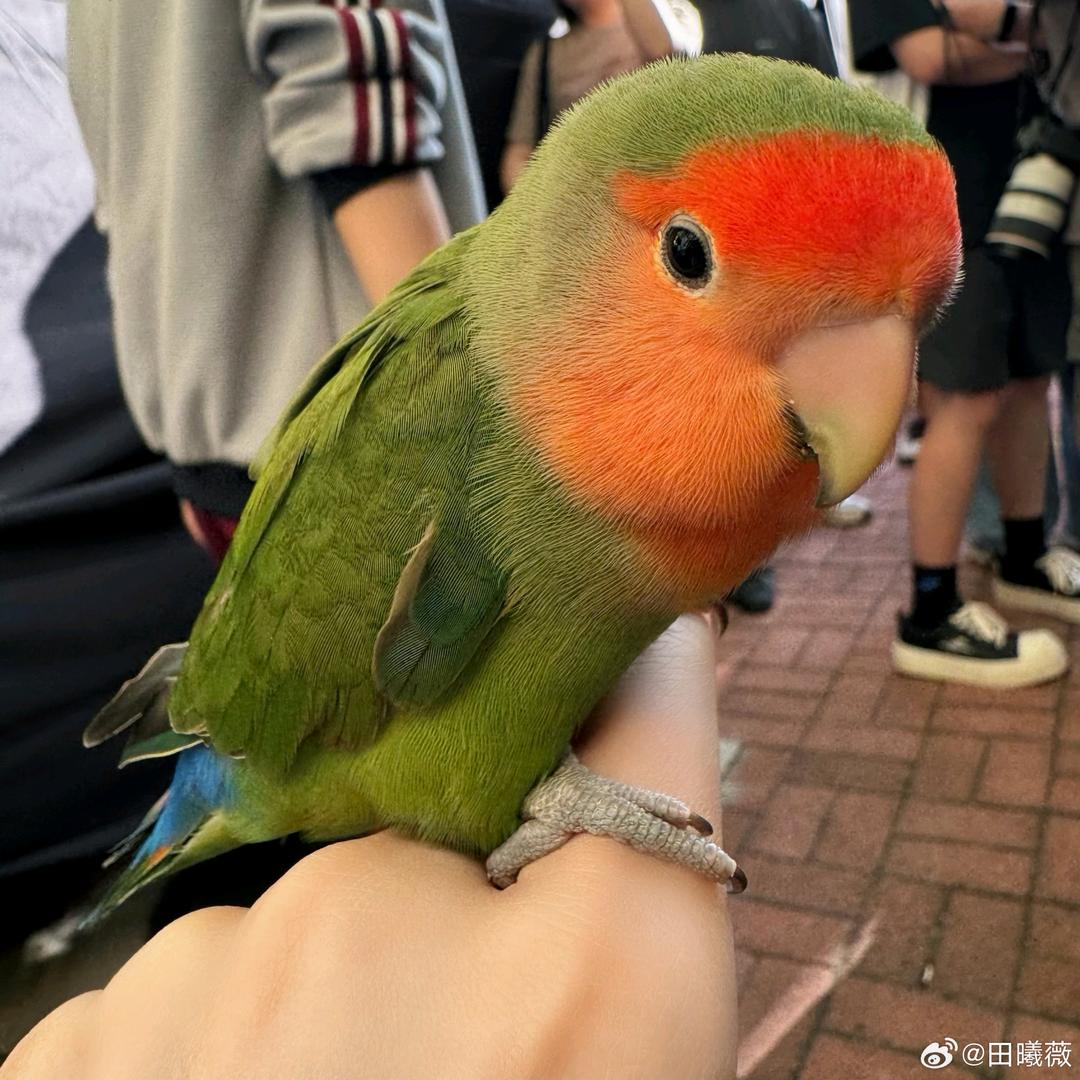 乌托邦和现实边界