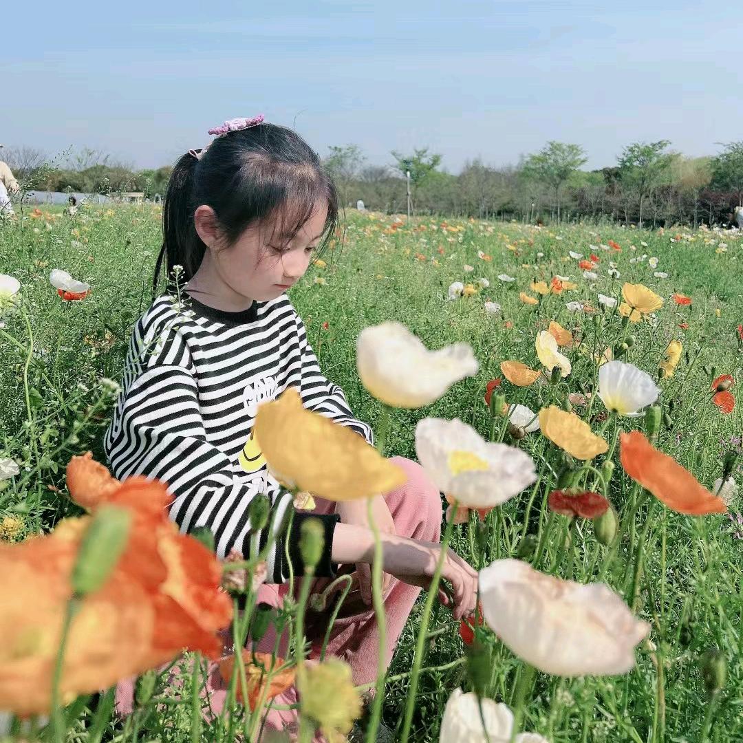 用户95267152……岁月年华
