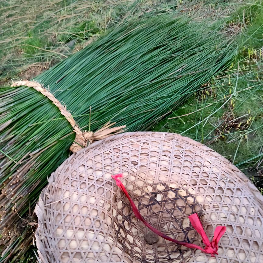 在农村卖灯芯草的晴格格