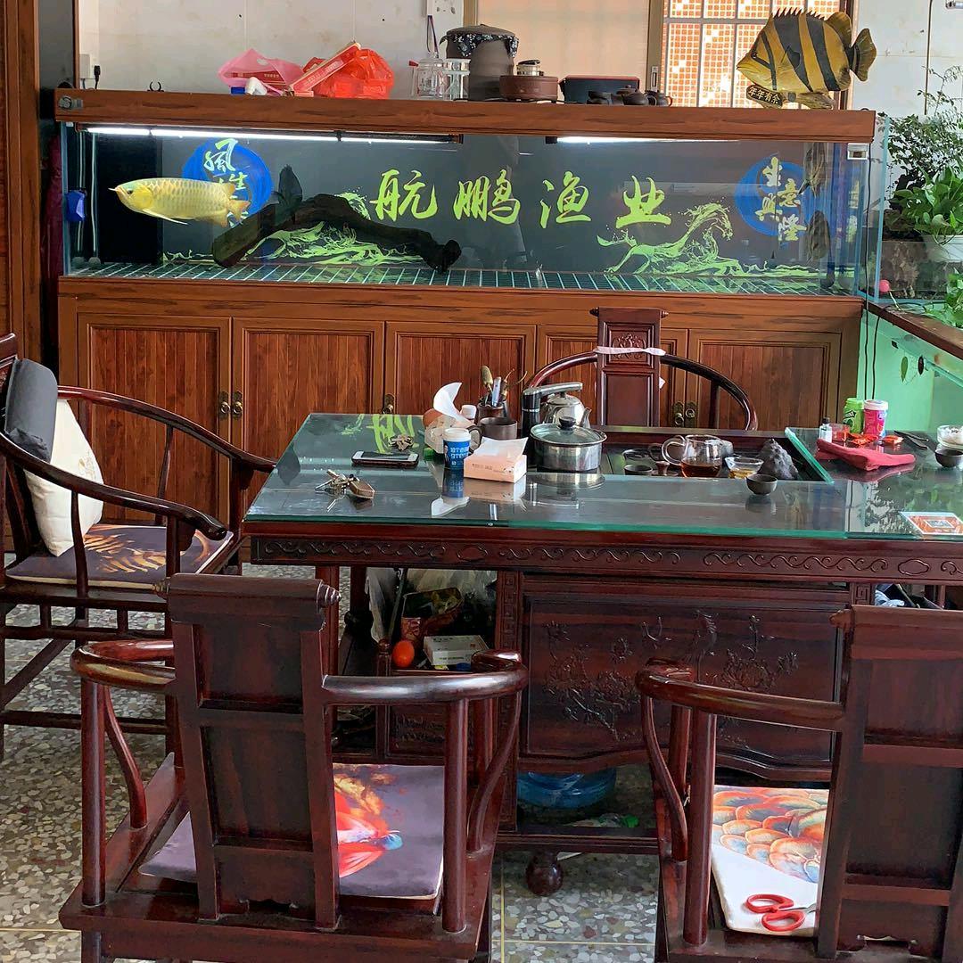 航鹏水产茂名地区吊水鲈鱼桂花批发