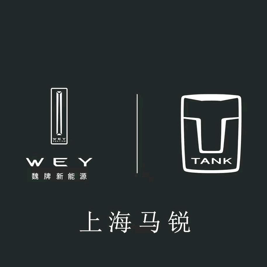 魏牌丨坦克上海马锐体验中心