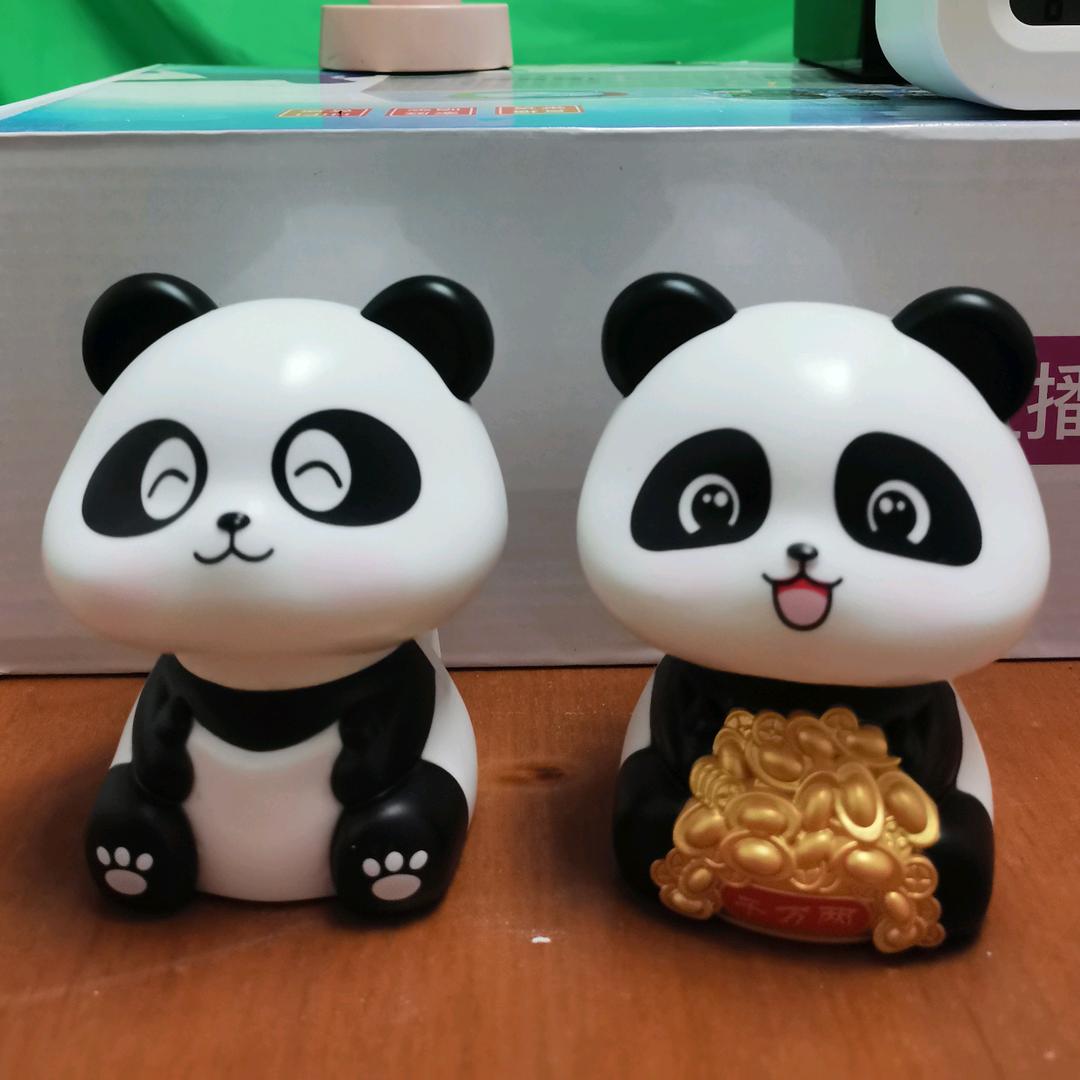 佳琪💕