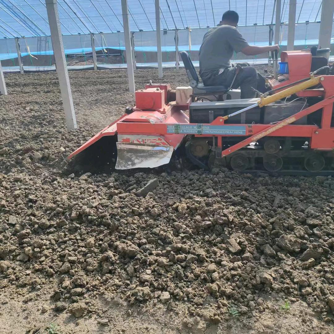 棚底深翻寿光韩华