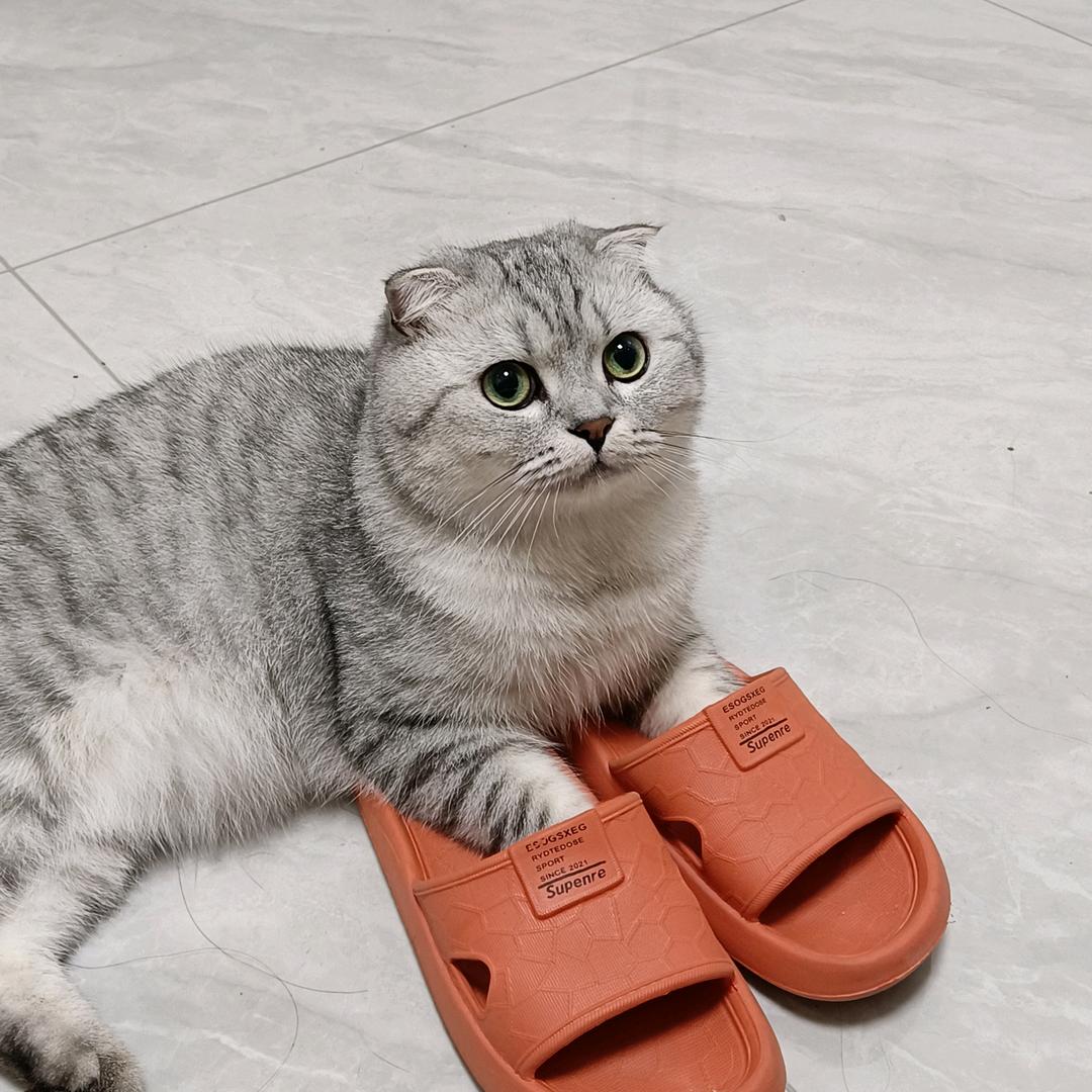 尿尿不上班