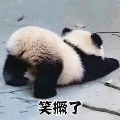 赏南