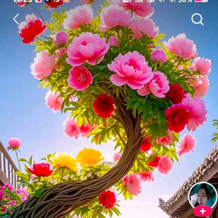 🌸🌺  余生有你