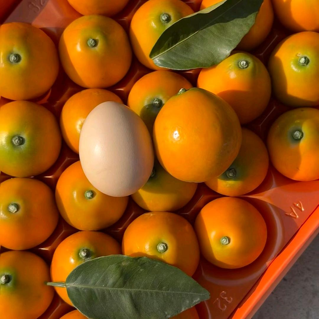 融安脆蜜金桔果园（产地直发）