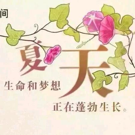 夏天哥1688（不关注）