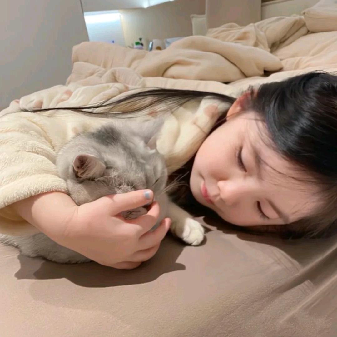 呆