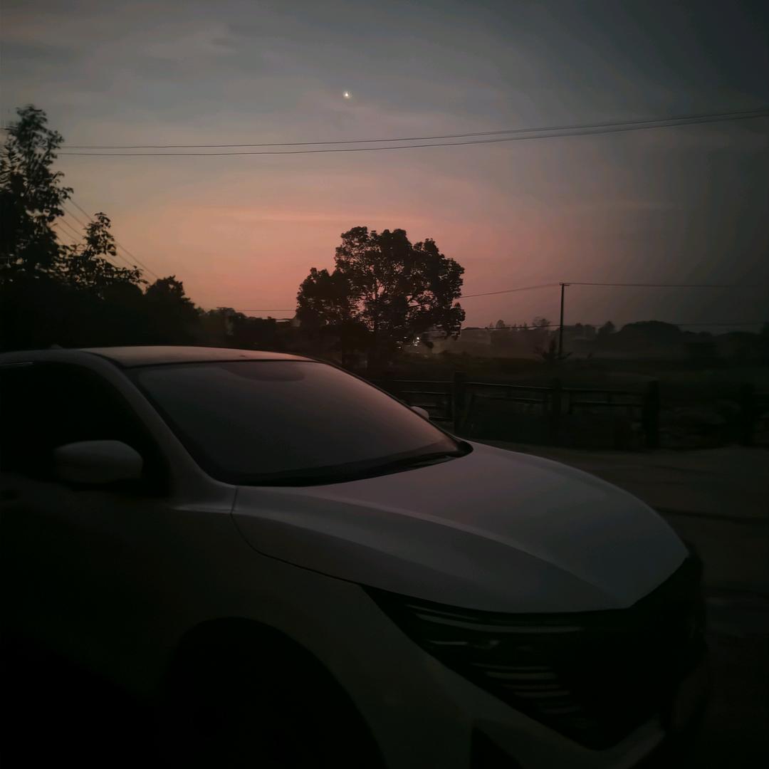 🐾最後的醉後🌿