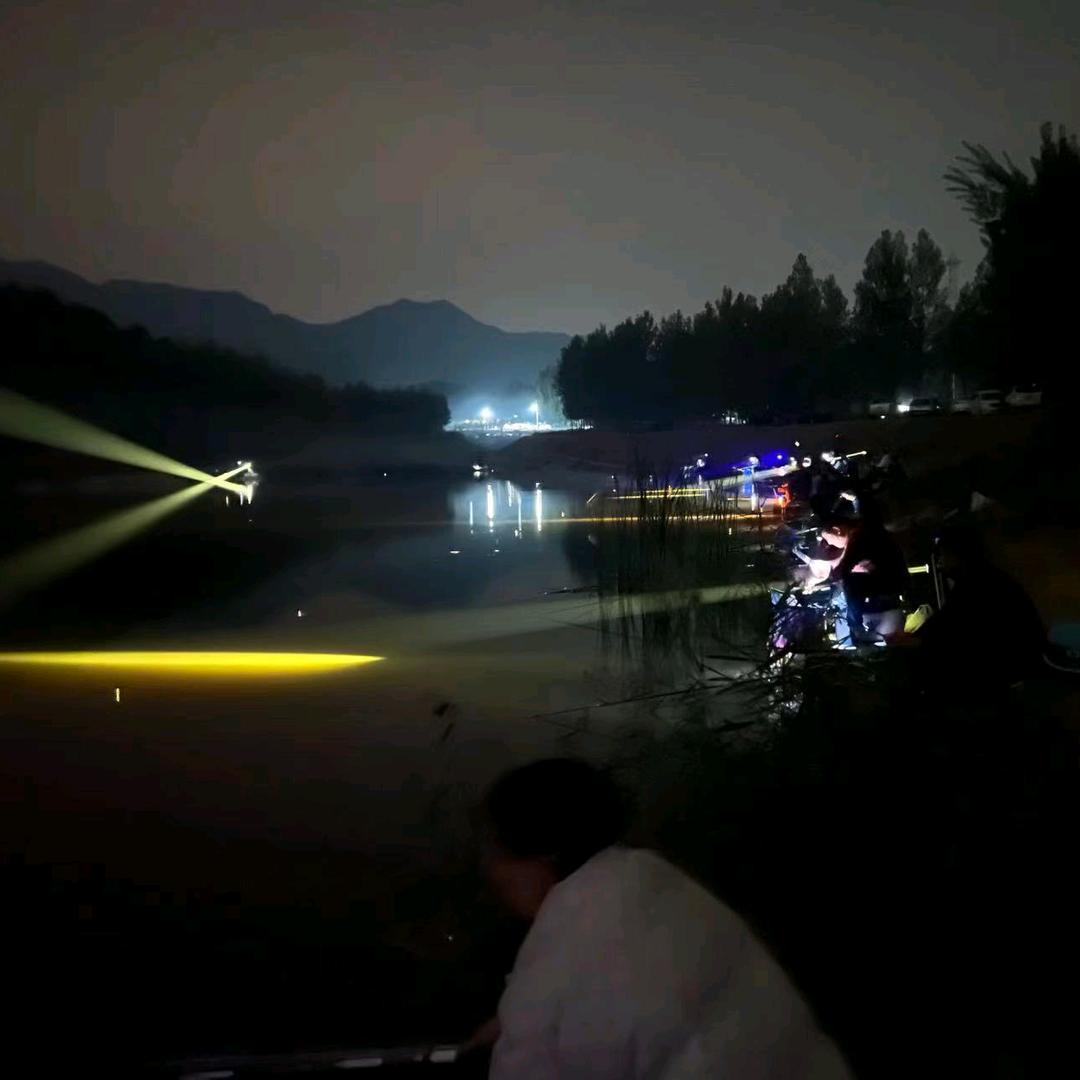 金马1999ᶻᶻ🧶