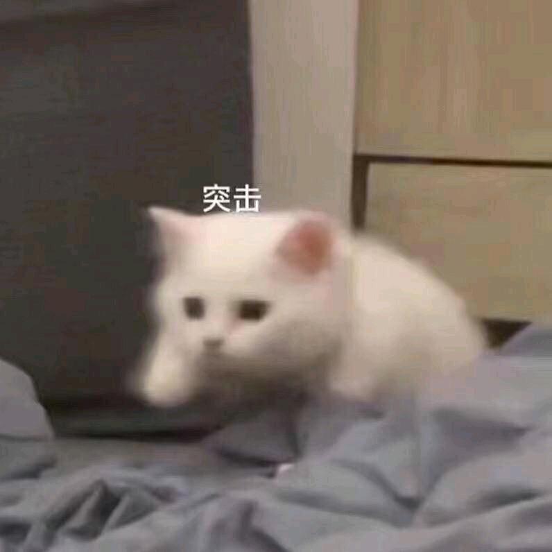 乔恩