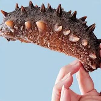 大连参小二海参工厂