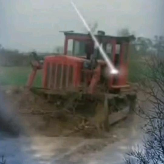 云中龙🌹雾中凤