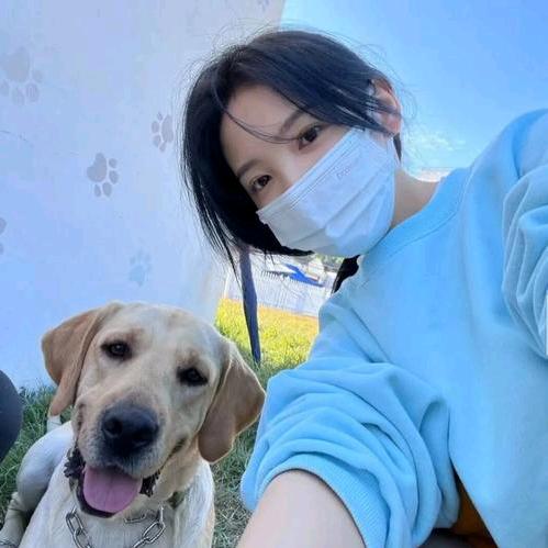 小芋不予