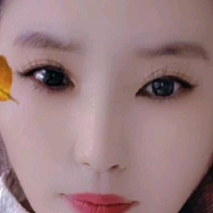 心语红尘