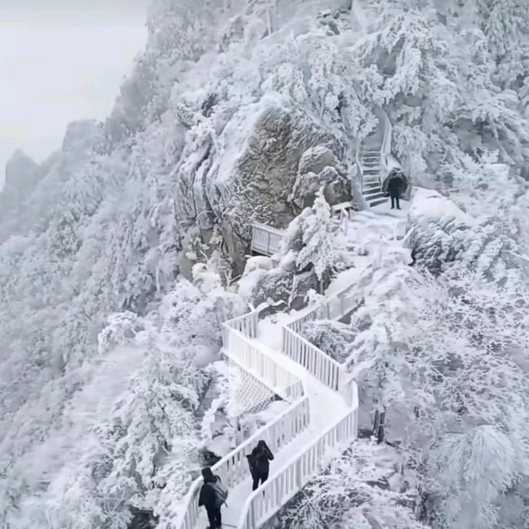 雪行客