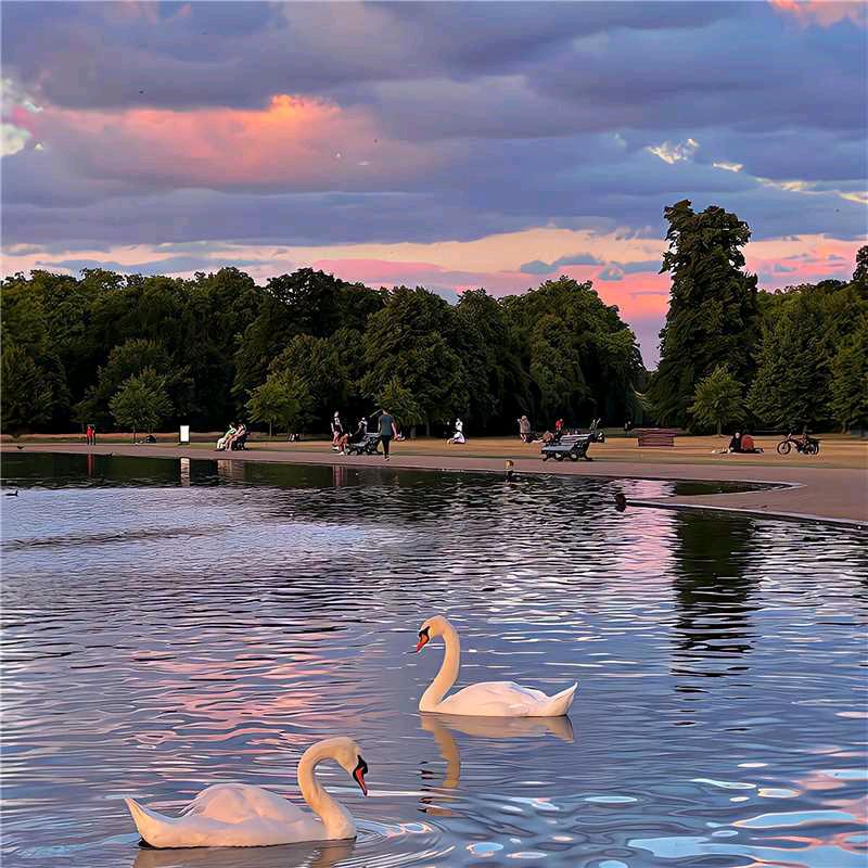 马到成功wyt@12345