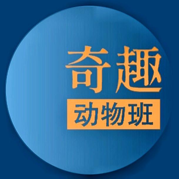 奇趣动物班