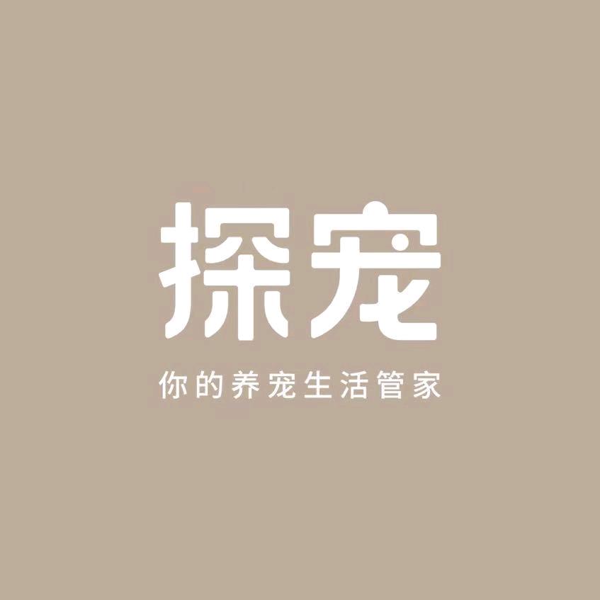 探宠自动喂食器