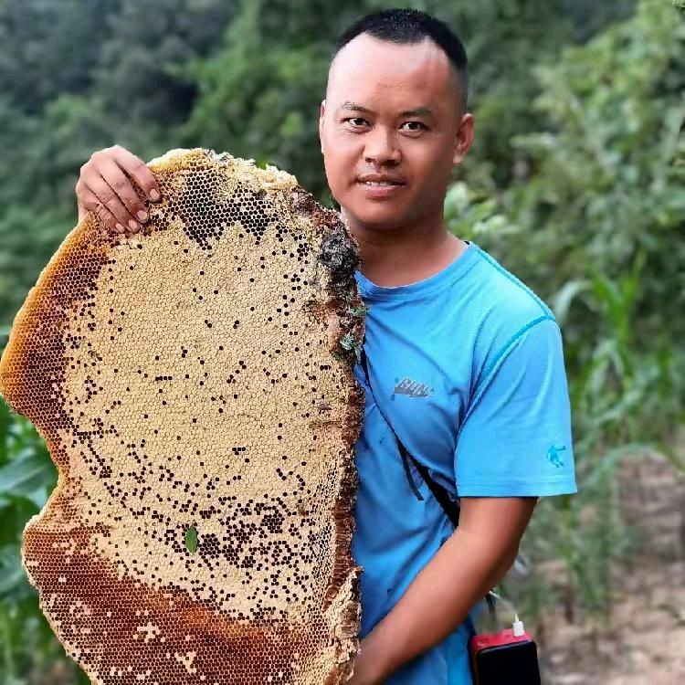 贵州玩蜂哥（诱蜂找蜂）