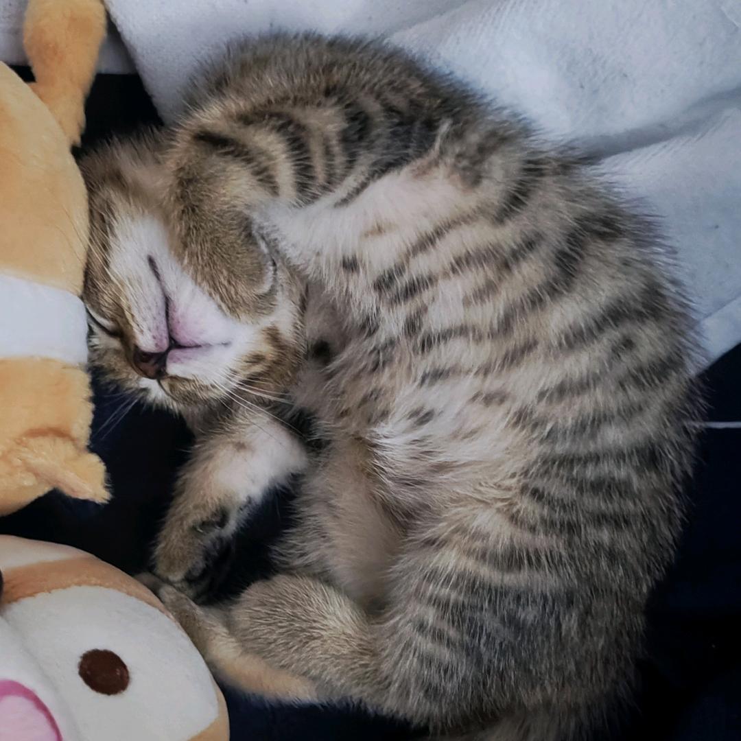 钱罐在攒钱膘中