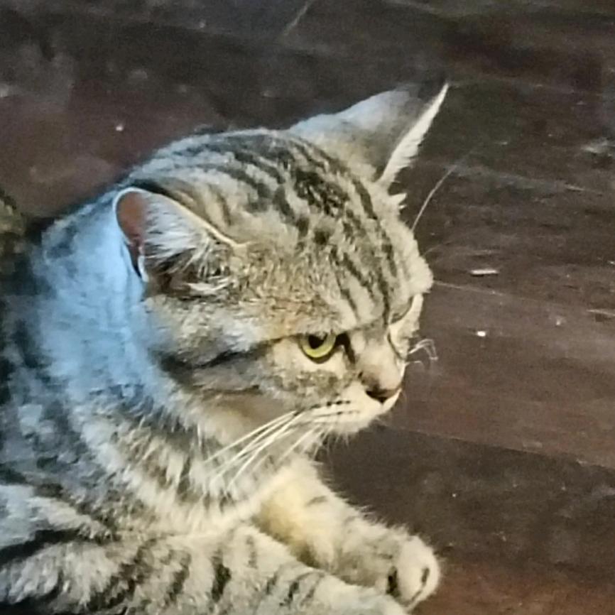 糊里糊涂