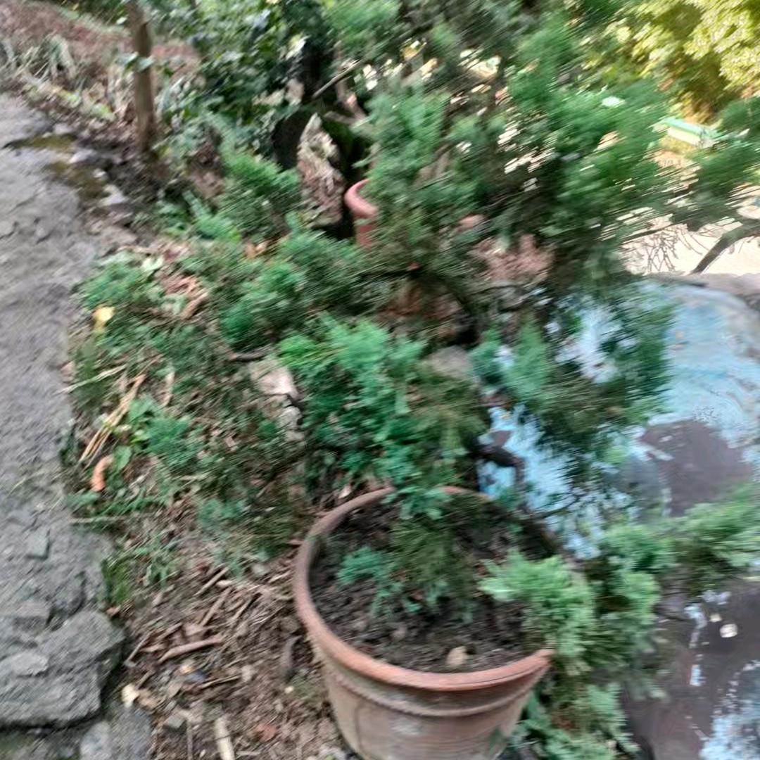 遇上你是我的缘