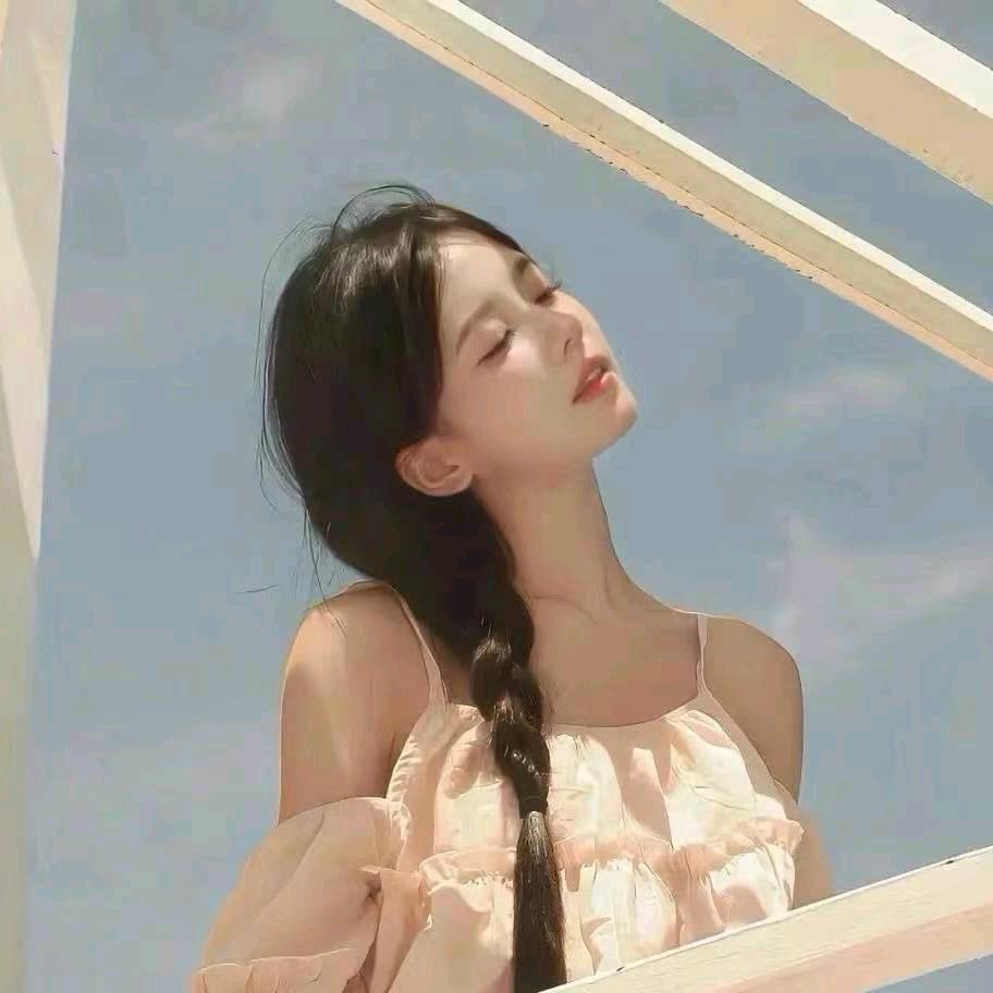 杨会计