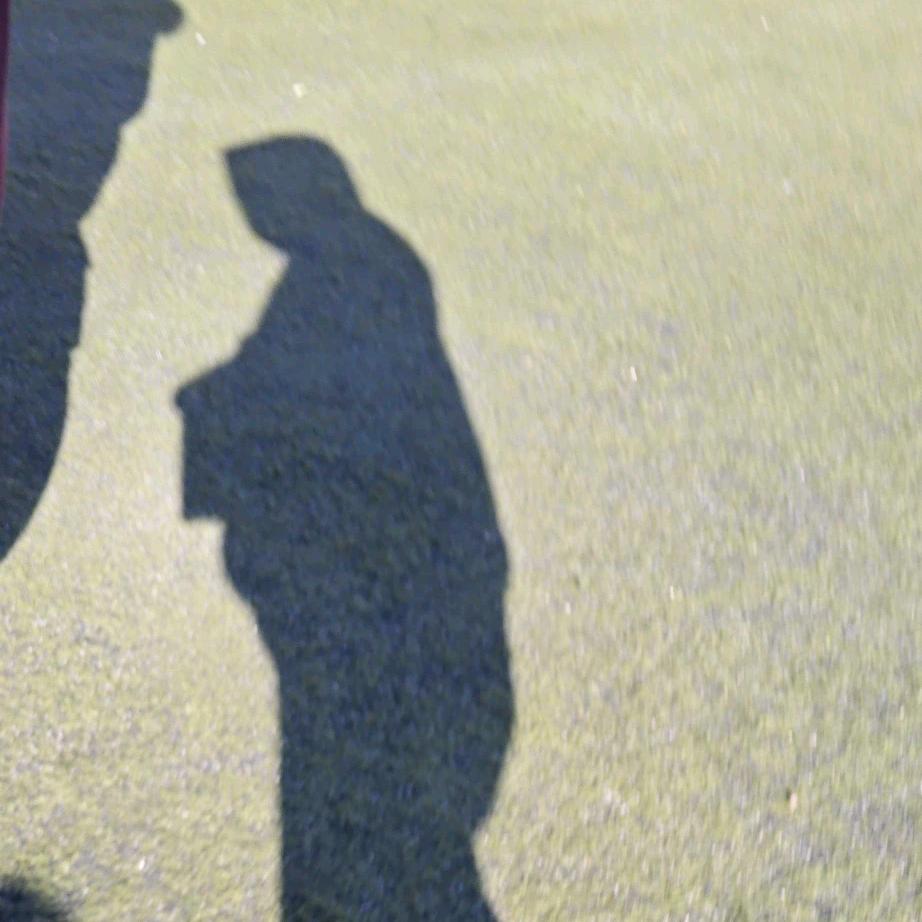 贝利亚大王看小说