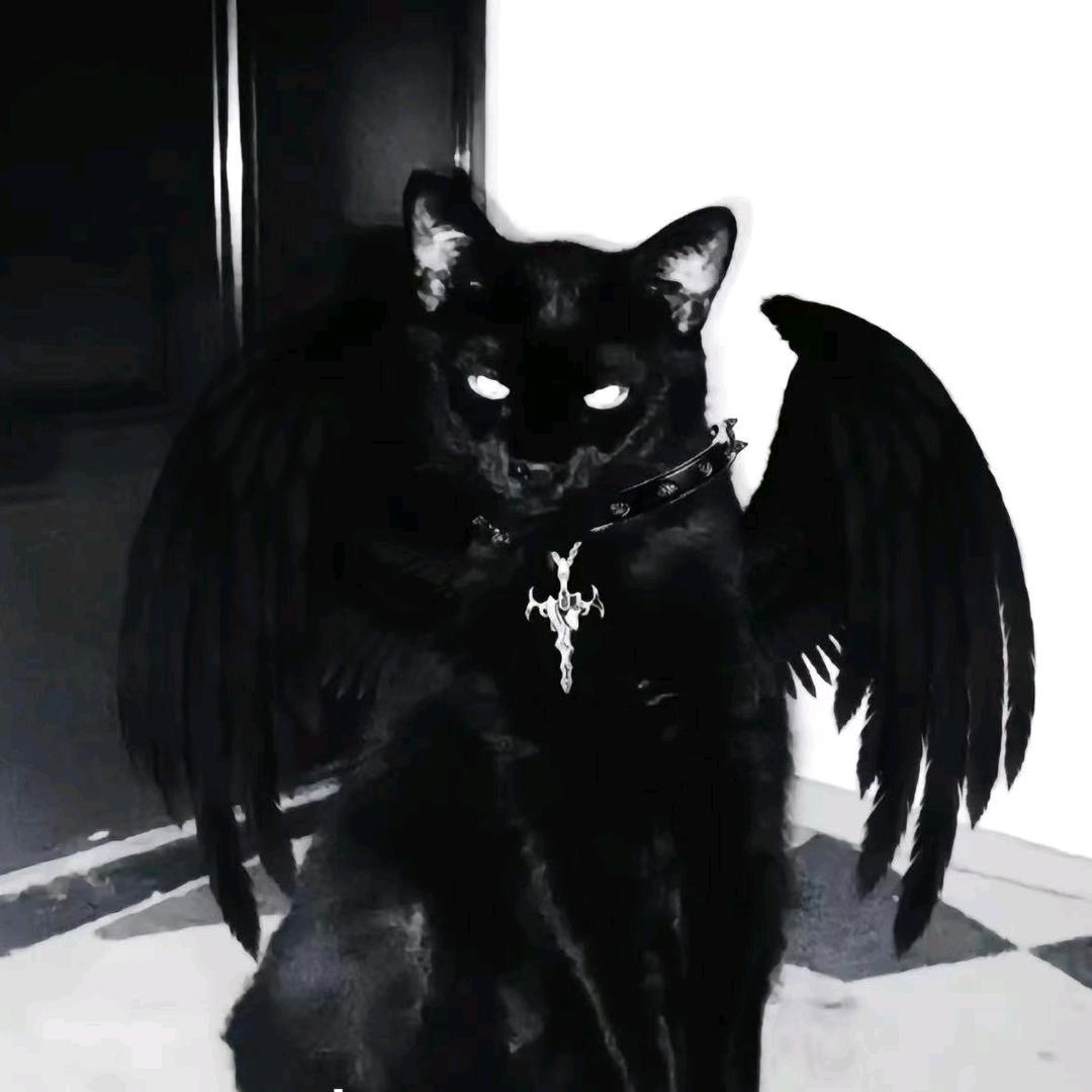 𝓣𝓮𝓷𝓭𝓮𝓻  𝓬𝓸✨