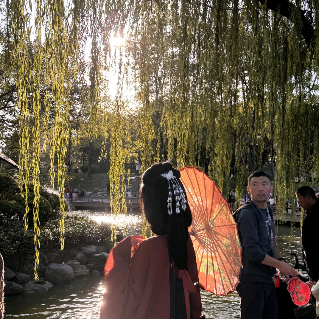 岁月友情