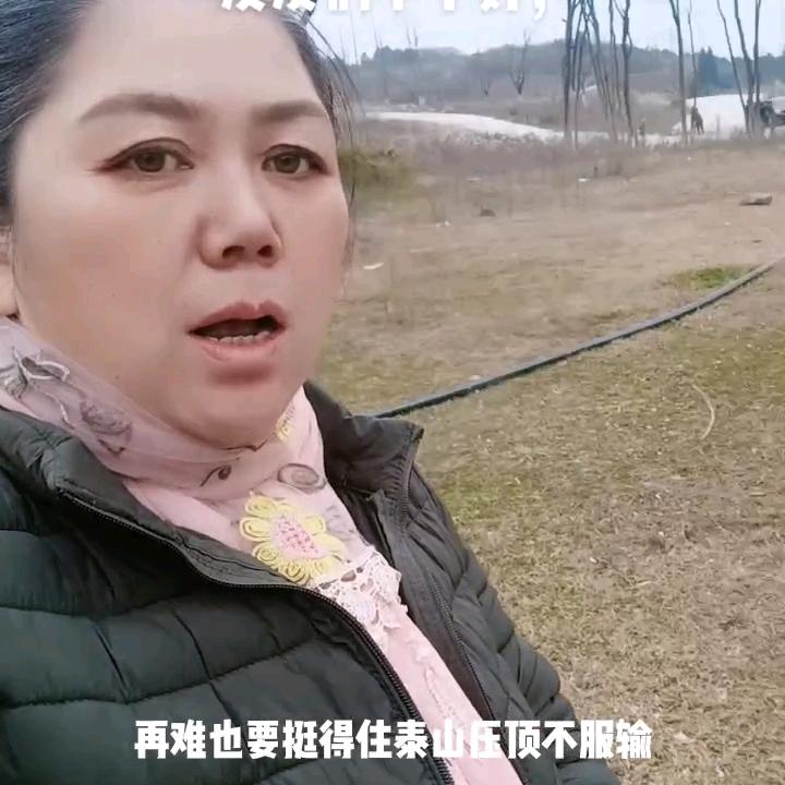 肖腊英卖水果大姐。谁要的随时联系我。