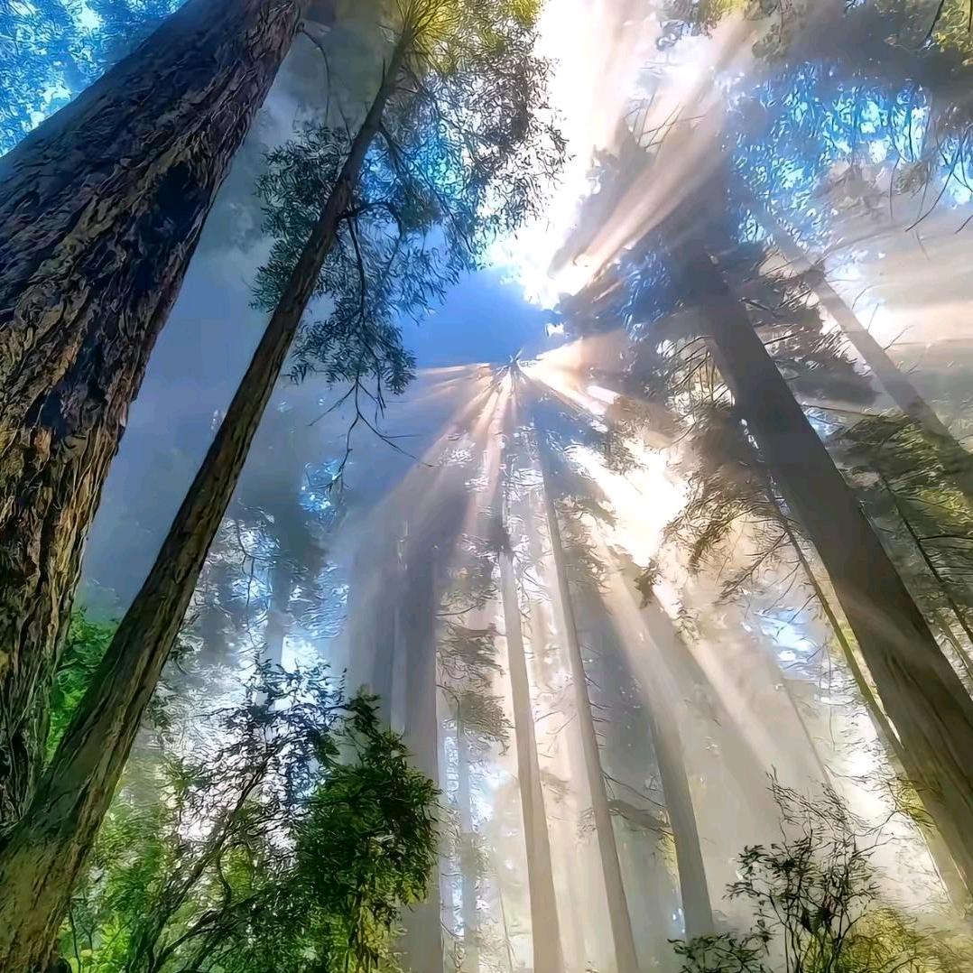 衝上雲霄🌈