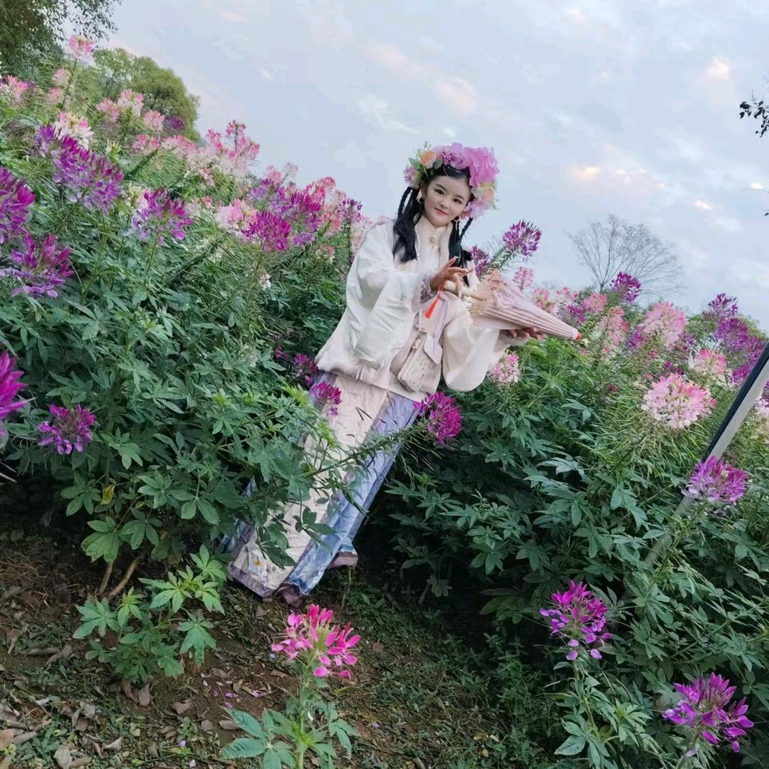 叶子楣(车、飞机🚀点舞）舞蹈老师