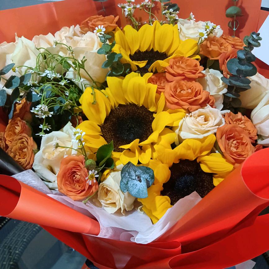 学姐要健康，拒绝私信