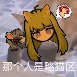 随风星夜