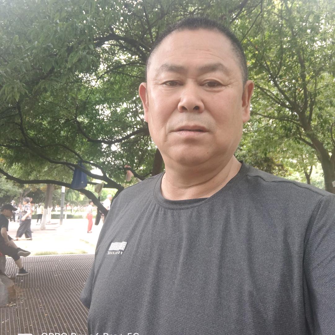 滁州家乐草坪苗木