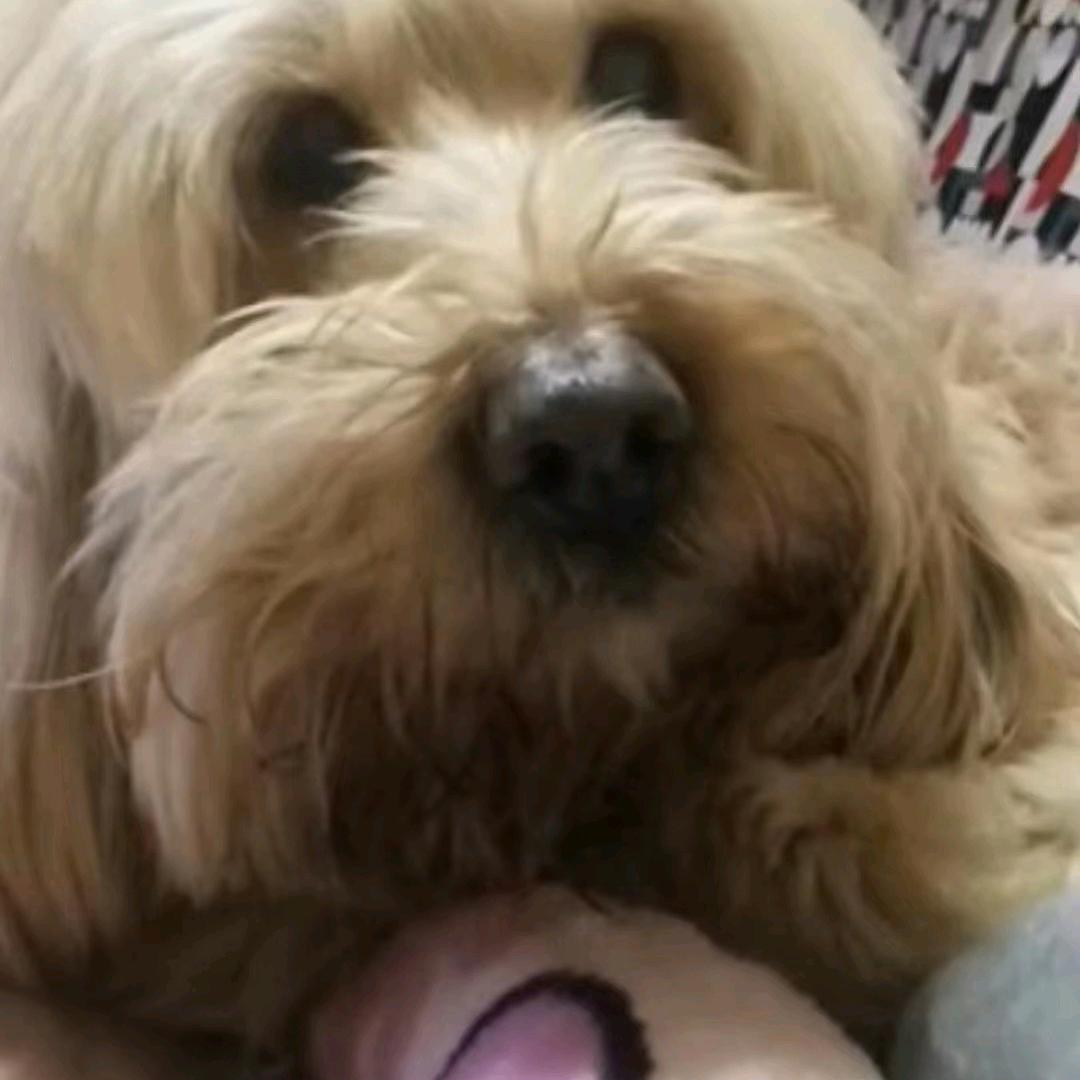 瞎讲讲