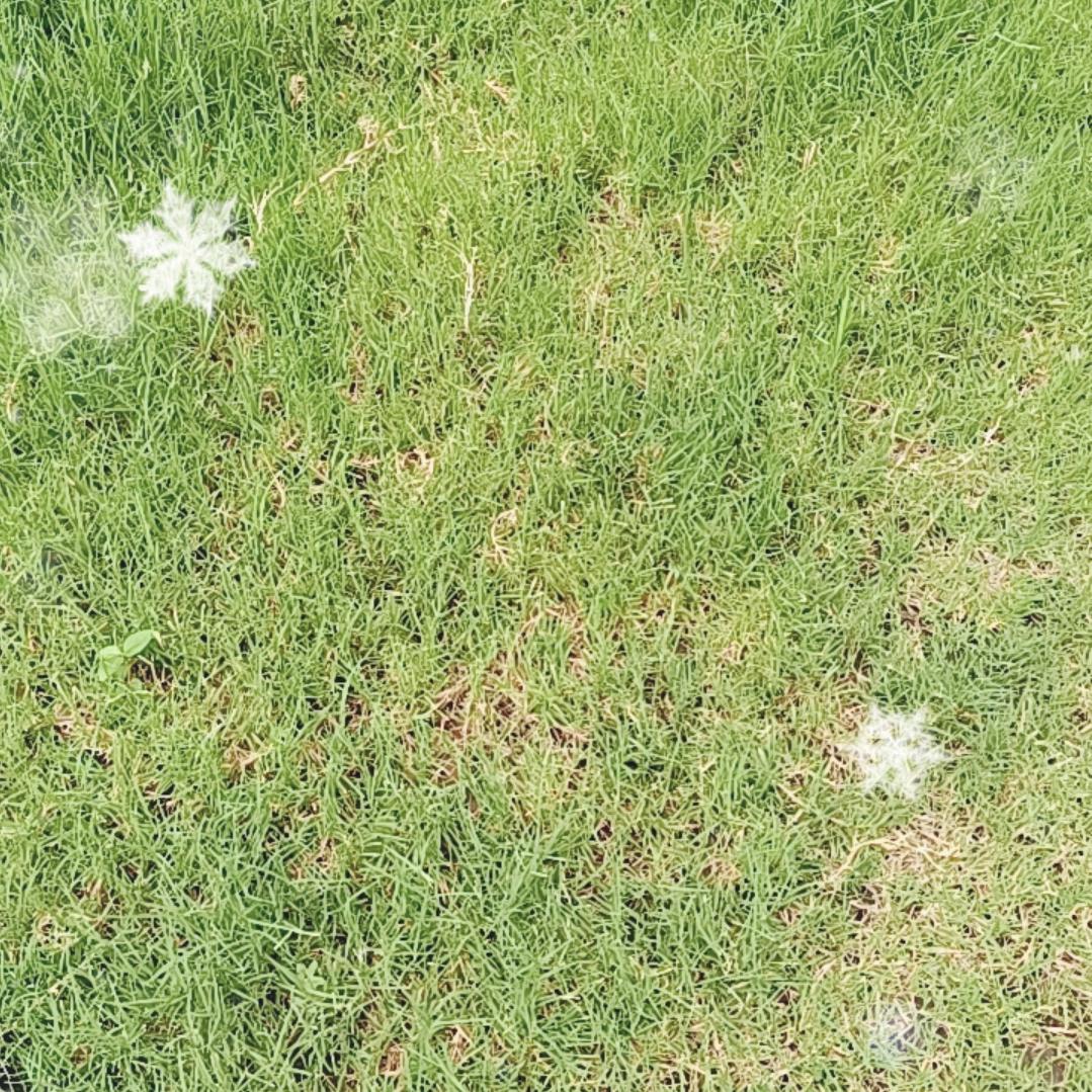 那一抹阳光888