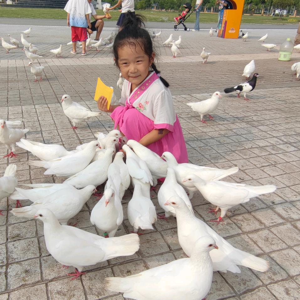董小姐1130