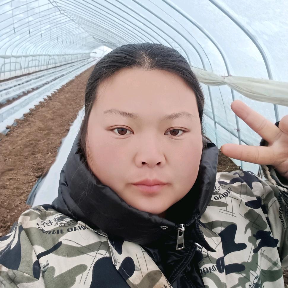 大脸的大棚生活