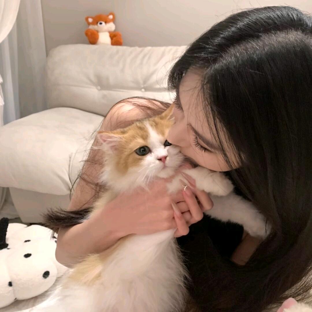 多次拒绝彭于晏