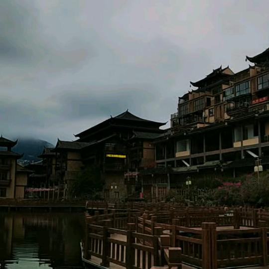 红枫落叶