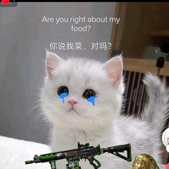暗区食s鬼