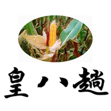 热河农夫（土特产，传统粮）